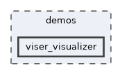 demos/viser_visualizer